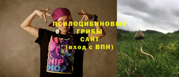 PSILOCYBIN Алзамай