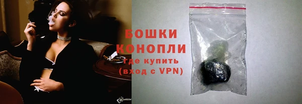 PSILOCYBIN Алзамай