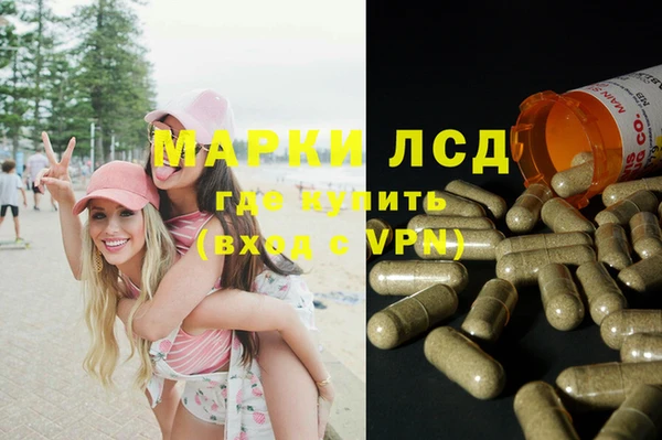 PSILOCYBIN Алзамай