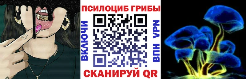 наркота  Зеленоградск  Галлюциногенные грибы ЛСД 